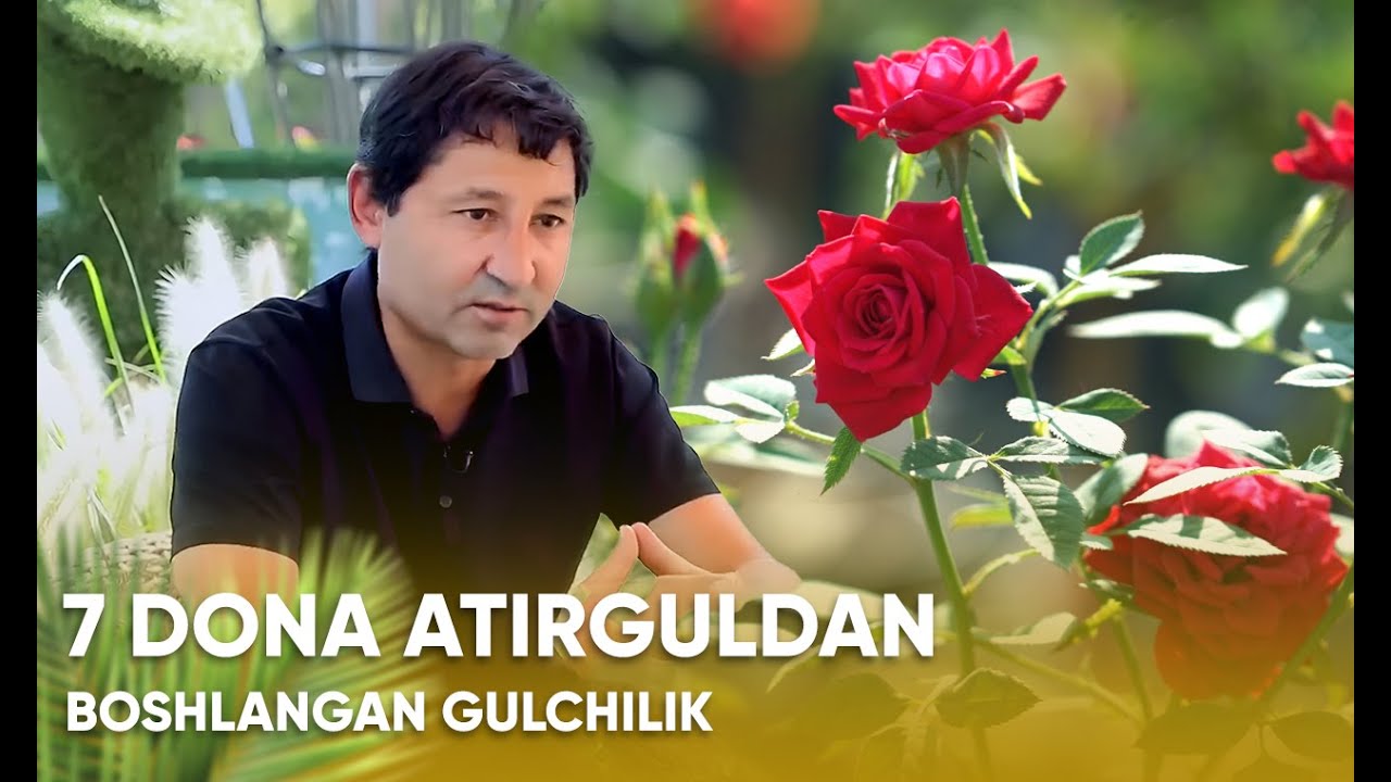 7 dona atirguldan boshlangan gulchilik | Bahor Gullari tarixi
