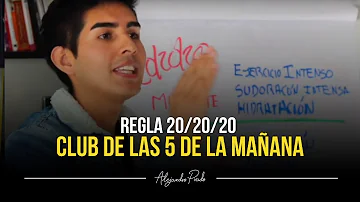 ¿Cuál es la regla 20/20 del minimalismo?