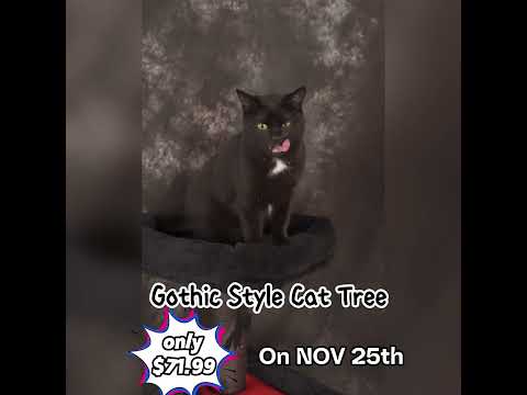 Black Friday Sale