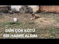 ARABA ÇARPIP AYAĞI  KIRILAN KÖPEĞİ İKİ GÜNDÜR ARIYORUZ