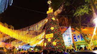 أكبر شجره كريسماس فى العالم 2022 Giant Christmas tree  p