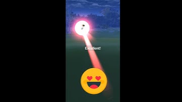 💥A ✨ Shiny ✨ Farfetch