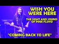 💎 WISH YOU WERE HERE (PINK FLOYD TRIBUTE) 💎  &quot;Coming Back to Life&quot; Live 10/8/22 Columbus, OH