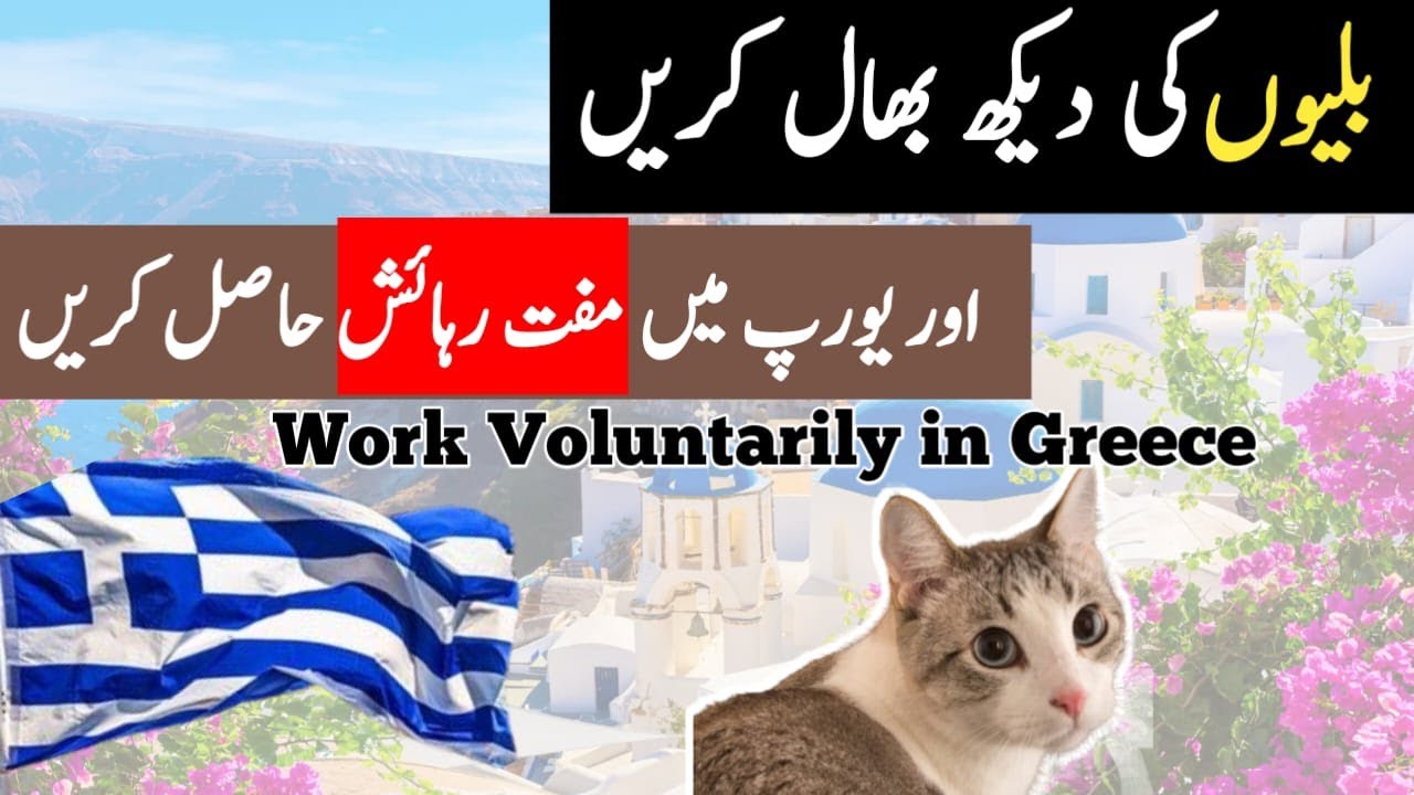 Greece Animal Volunteer Program 2026 | Volunteer Cat Work in Europe | How to Apply For Cat Program