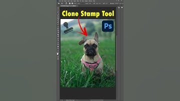 Photoshop - Clone Stamp Tool Tips!"