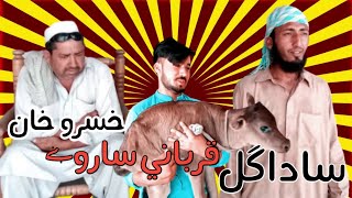 Da Qurbani Sarway Feat Sada Gul & Khisro Khan | Funny Video By Shaidu Vines