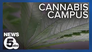 School of Cannabis seeks historic accreditation