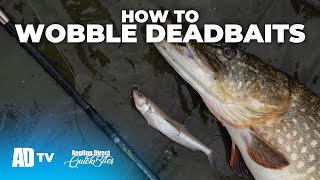 How To Wobble Deadbaits  Predator Fishing Quickbite  Pike Fishing