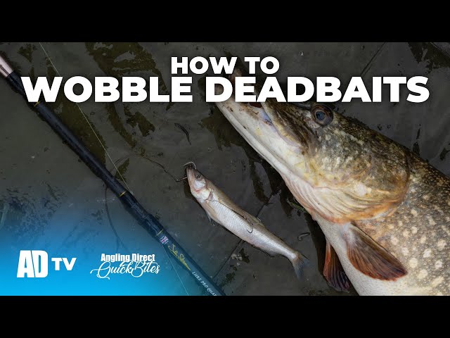 How To Wobble Deadbaits - Predator Fishing Quickbite - Pike