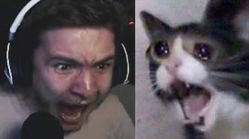 I made my scream my sub sound