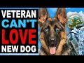 Veteran Can’t LOVE New DOG, What Happens Next Is Shocking