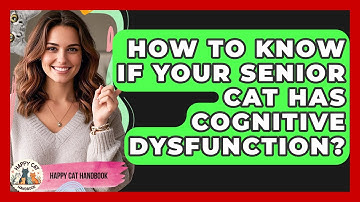 How To Know If Your Senior Cat Has Cognitive Dysfunction? - Happy Cat Handbook