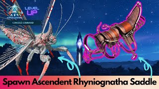 Ascendant and primitive Rhyniognatha Saddle Spawn Command | Ark Survival Ascended