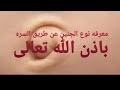 معرفه نوع الجنين من شكل السره طريقه الأجداد مضمونه ١٠٠%١٠٠