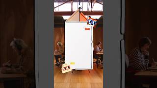 Famous Have you ever seen a dumpling cat..? Net Worth