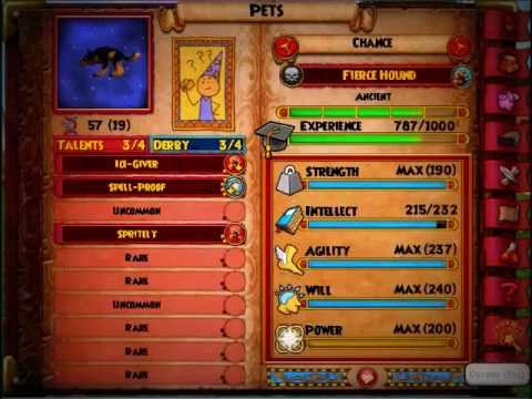 wizard101 how to see your pets future talents pet secret wizard101 pet chart