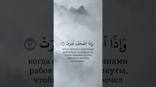 Qur’an | Abu Hatim | surah 81 At-Taquhir