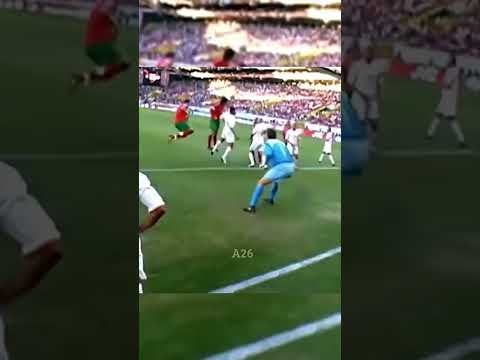 Van Der Sar 