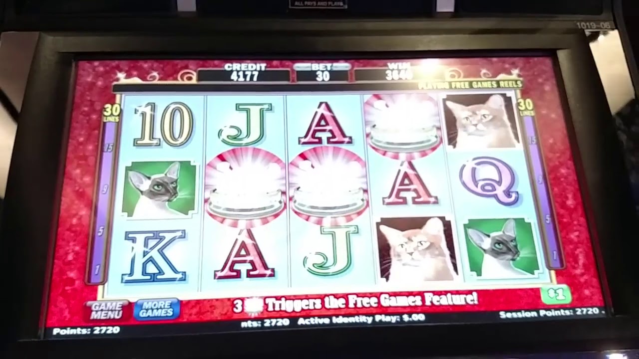 * GIANT HANDPAY JACKPOT * Kitty Glitter $30 Bet Free Spin bonus IGT Slot machine