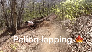 Ebb laps down Gamble track