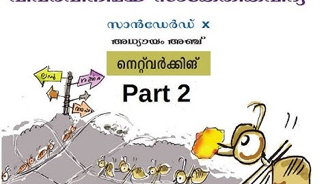 CM Soft ICT Tutorials Std 10 Chapter 5 Network 2