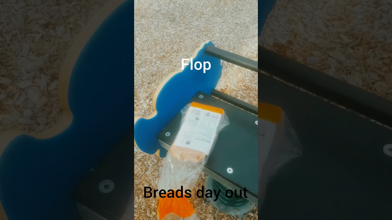 What happend to bread 