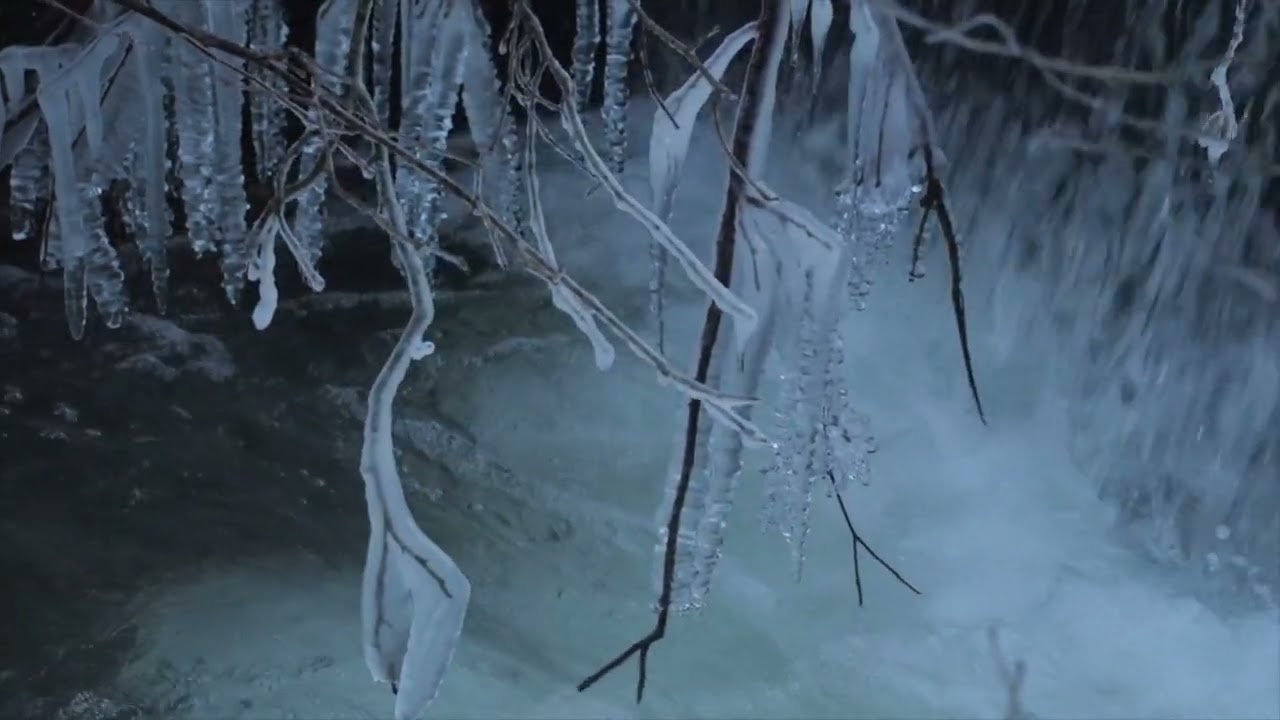 Shadows Of Maxwell St. - Wallace Evans Blues Ensemble