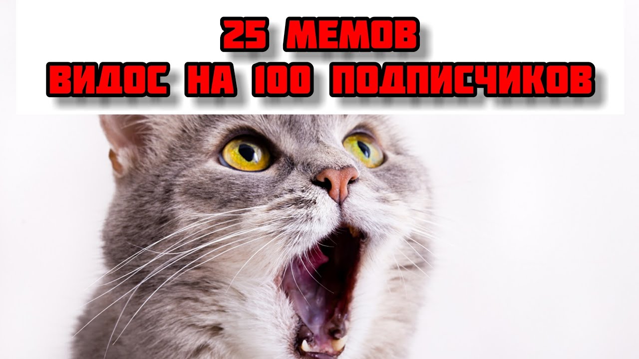 Видосики на ютубе. 5 видосики. 5 видосики. Видосики. Смешной видосик.