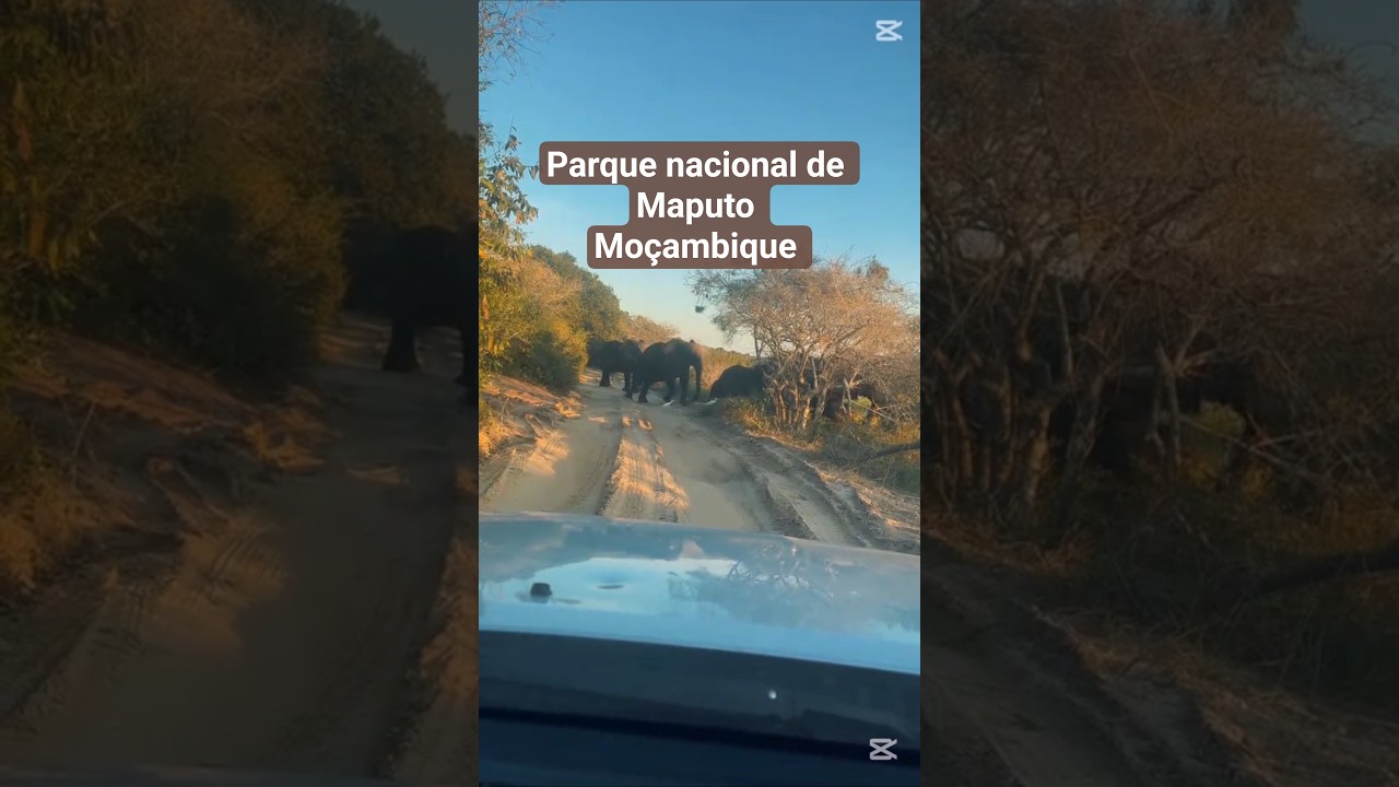 Maputo National Park Mozambique 🇲🇿 