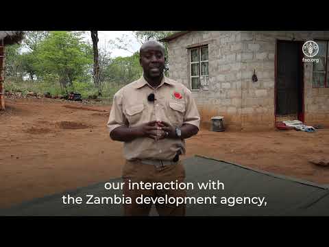 Empowering youth: transforming urban agrifood systems