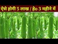 लौकी की खेती कैसे करें // how to grow bottle garud // ghiya ki kheti kab karen // bottle farming