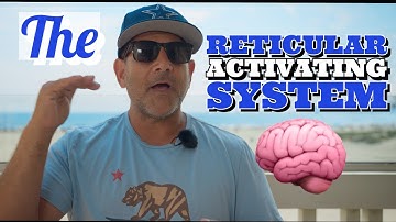 reticular activating system