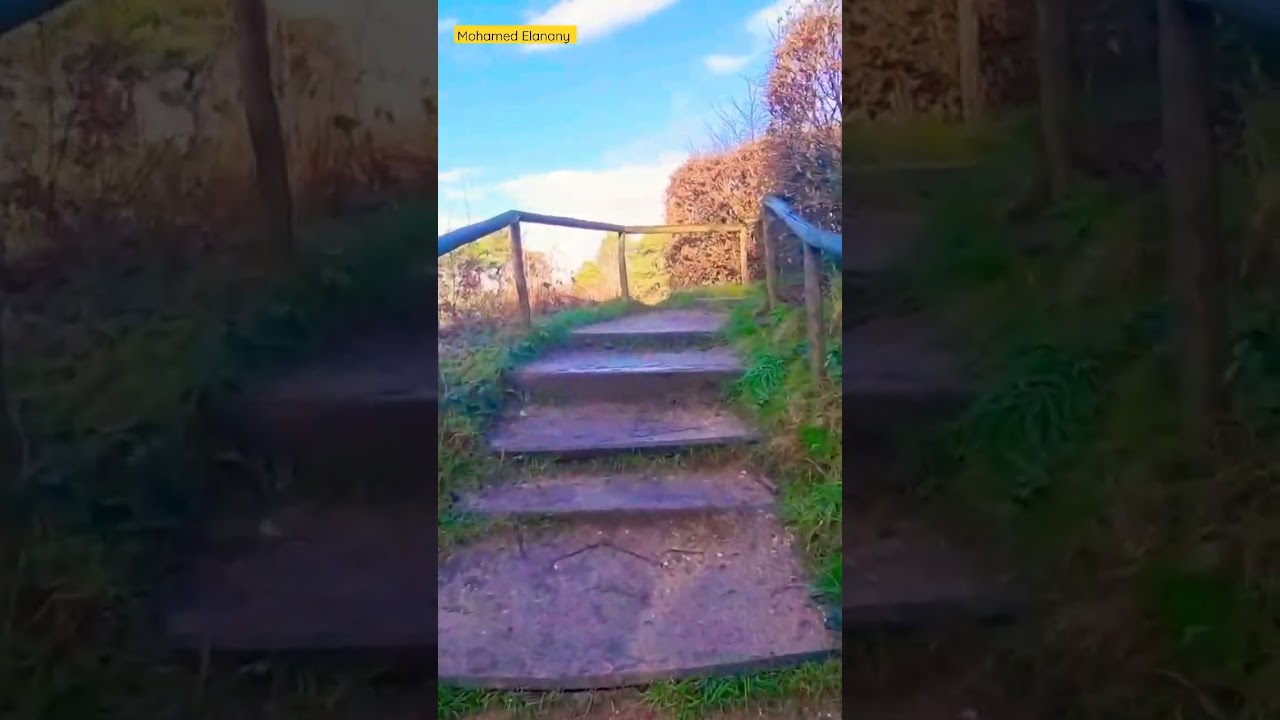 De Duivelsberg , Devil Mountains, The Netherlands , Nature 