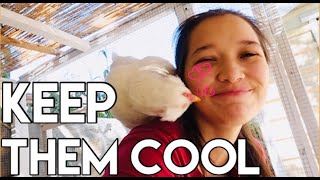 11 Ways to Keep Chickens Cool in the Heat of Summer #stayhome