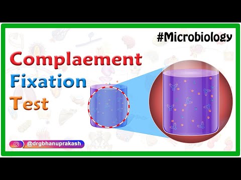 Complement Fixation test - Microbiology animations