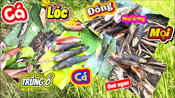 Cá Lóc Đồng Nướng Mọi Quá Ngon Team #HùngCávolg 