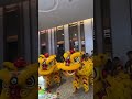 🦁Chinese Newyear Special Lion Dance🦁