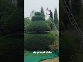 Satisfying Gardening Work🌳#garden #satisfying #cleaning #grass #lawn #viral #fyp #trending #626