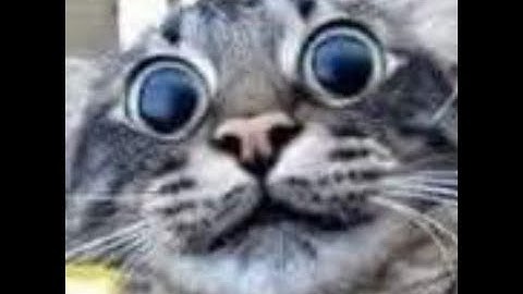 Udemy QML Beginners Update - and Qt 6