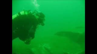 Tec Dive on U-1277
