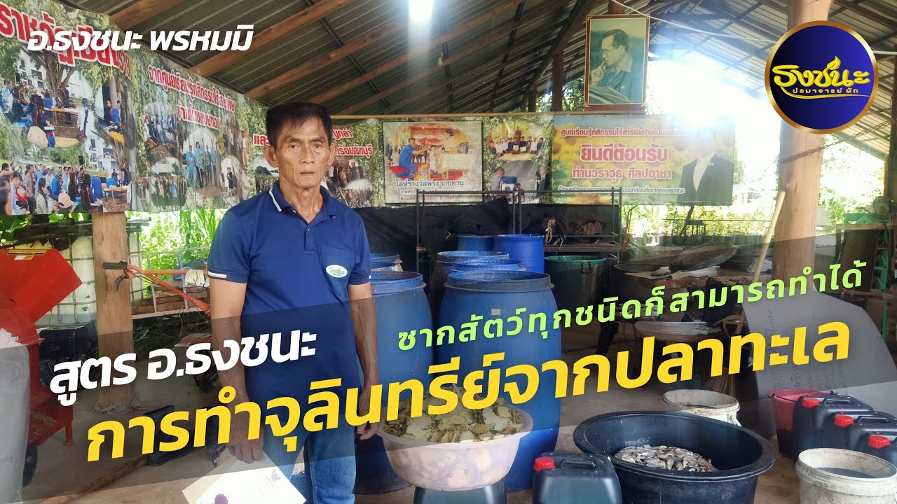 การทำจุลินทรีย์จากปลาทะเล | สูตร อ.ธงชนะ | #ธงชนะพรหมมิ #น้ำหมักจุลินทรีย์ #ปุ๋ยหมักอินทรีย์