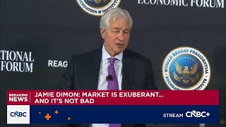JPMorgan CEO Jamie Dimon: The market is exuberant and it's not bad