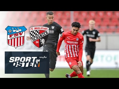 Zwickau Ingolstadt Goals And Highlights