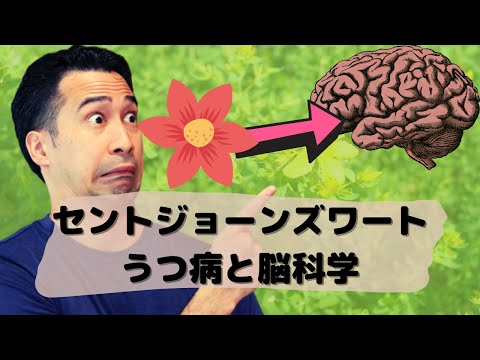 うつ病必見！セントジョーンズワートの効果と副作用を脳科学で解説