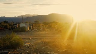 CharlElie Couture ● Les Heures Caniculaires (2019)