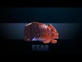 Con Fusion Tutorial Quicky - The SSAO & Supersampling ( Fusion 8 & 7 )