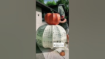 Giant pumpkin diy