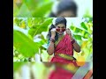 Girru pitta ll new dj folk song 2022 ll Shravan hyd