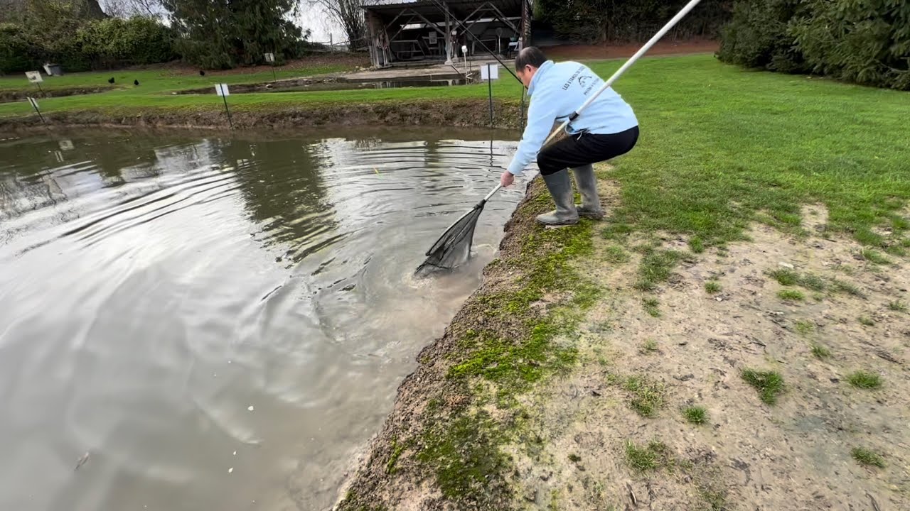 Une super grosse de 7,5 kg