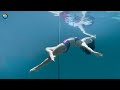 Pole Fitness Model Underwater Photoshoot 🧜‍♀️ (Behind The Scenes) | Morning Dive Experience